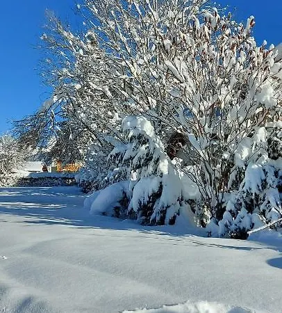 Ferienhaus Dora's Lechtraum *