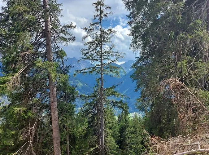 Hébergement de vacances Dora's Lechtraum *