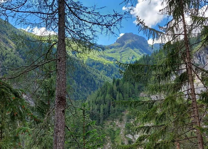 Dora's Lechtraum Bach (Tyrol)