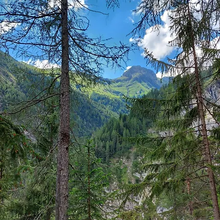 Dora's Lechtraum Bach (Tyrol)